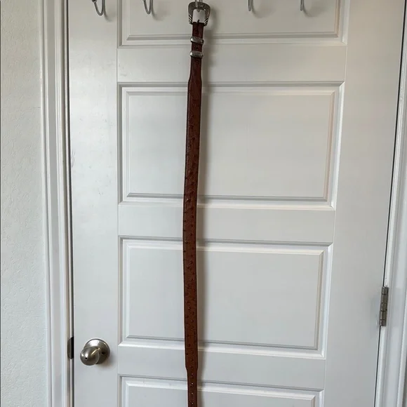 Lucchese Ostrich Belt - Picture 6 of 6